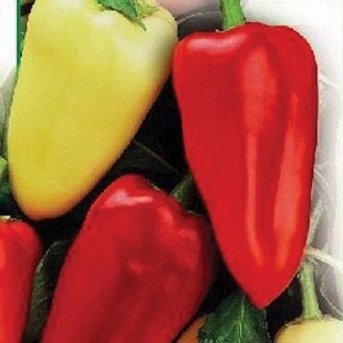 pepper sweet gift moldova reviews